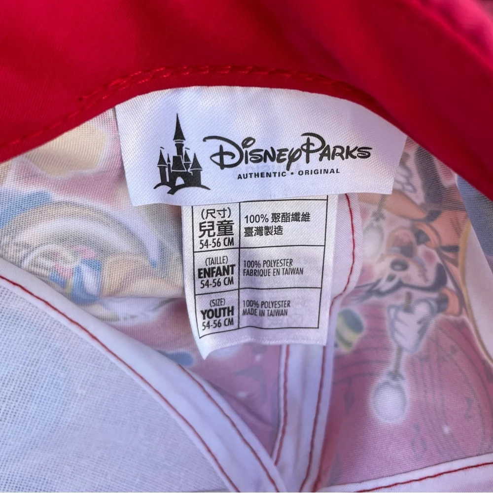 Disney Parks Hat
